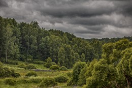 Mainly Cloudy / ***