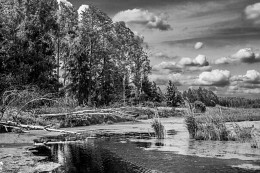 Before the storm / ***