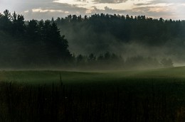 Fog is coming / ***