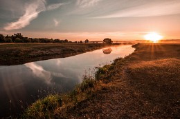 Summer sunrise on the river Pronya (2) / ***
