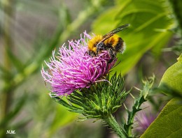 Lunch break / SONY ILCE-6000 camera lens SEL-50 F/4.5 ISO 100
