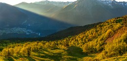 Sun beam. / ***