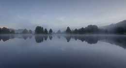 Morning and silence / ***