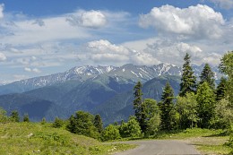 The road in the mountains / ***