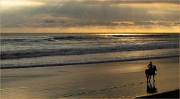Golden Beach (Bali) / ***