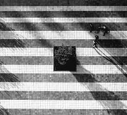 Bustle of the city / ***