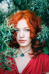 Xenia / ***