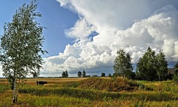 in the village in summer / ***