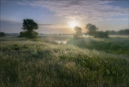 The morning bathed in the dawn mist-2 / ...