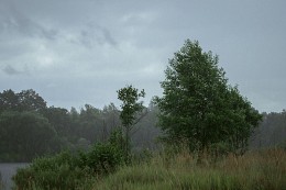 in der regen / ***