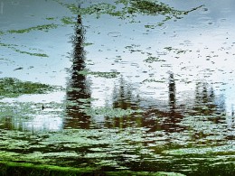 Gervyaty in the rain / ***