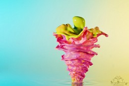 Fruit / ***