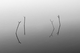 Without rod / ***