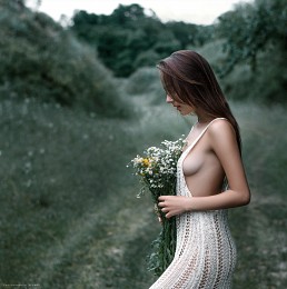 Dreamer / ***