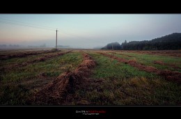 Morning rainy summer. / ***