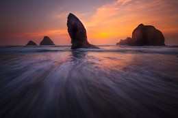 GIANTS / ***