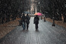 regen in der Stadt) / ***