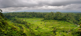 Bali I / ***