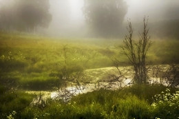 Strom / ***