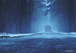 out of the fog / ***