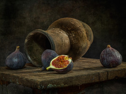 About the fig tree ... / ...