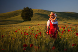 Three Colors: Red / ***
