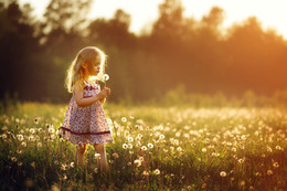 Tweety))) / ***