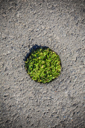 Oasis Slum Asphalt. / ***
