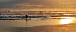 Golden Beach III / ***