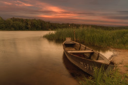 In the evening, near the Neman / ***