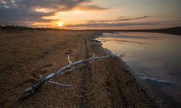 Salt coast / ***