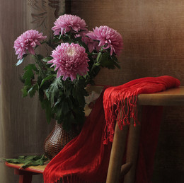 Chrysanthemums / ***