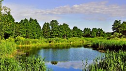 Freshwater Inflow / ***