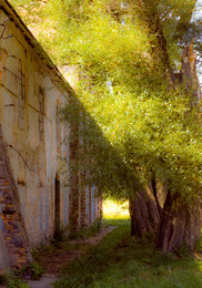 Loshitsa Taverne / ***