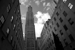 Stadtdschungel / New York