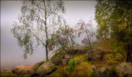 Nebliger Morgen / ***