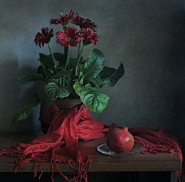 With Pomegranate / ***