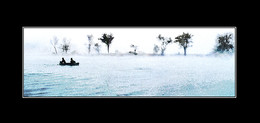 Nebel / ***
