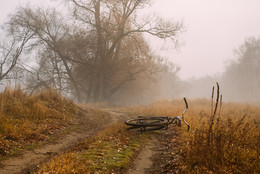 Morning Walk / ***