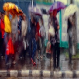 gorEzont swamped / ***