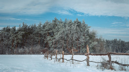 Winter road / ***