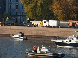 7 procedure provided / ***