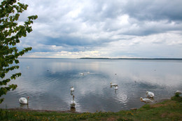 On the lake. / ***