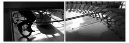 d.m.s. / ***