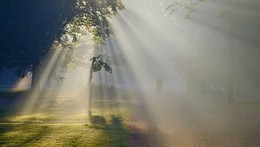 Im Morgenlicht / ***