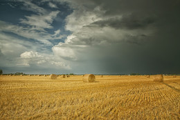 Before the storm / ***