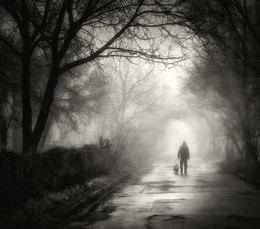 Walking into the light / ***