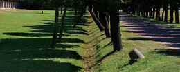 August shadows ... / ***