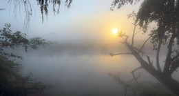 Dawn firefly ... / ***