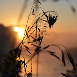 necklace of fog / ***
